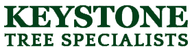 The logo for Keystone Tree Specialists.