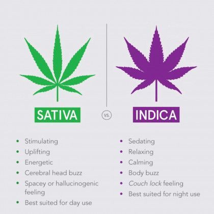 Sativa vs Indica cannabis strains