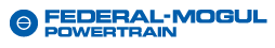 Federal-Mogul Powertrain