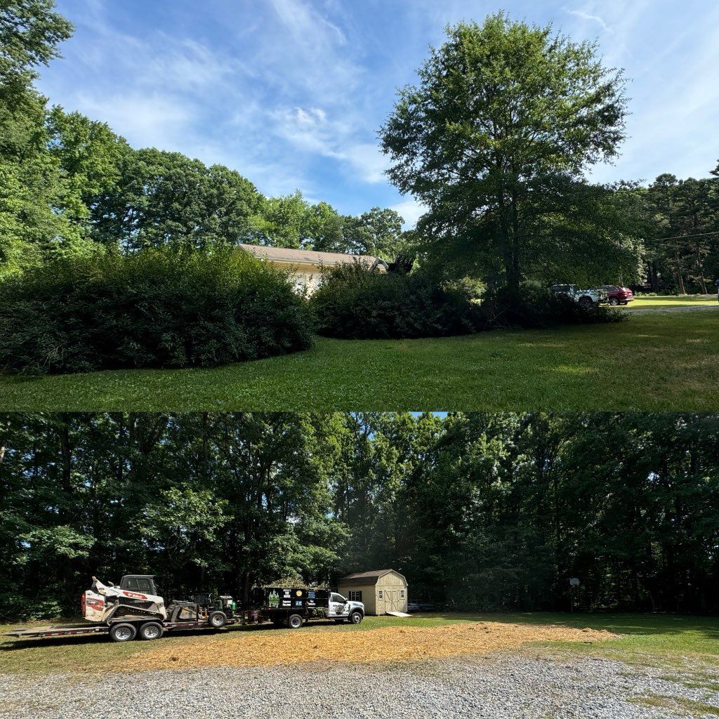 A before and after picture of a tree being cut down in a yard.