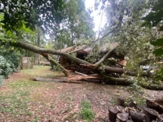 A tree has fallen on a house in the woods.