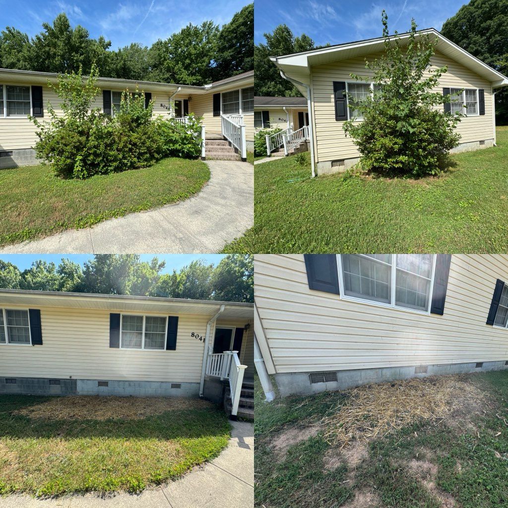 A collage of pictures of a house before and after being cleaned