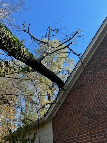 A tree branch is hanging over the roof of a brick house.
