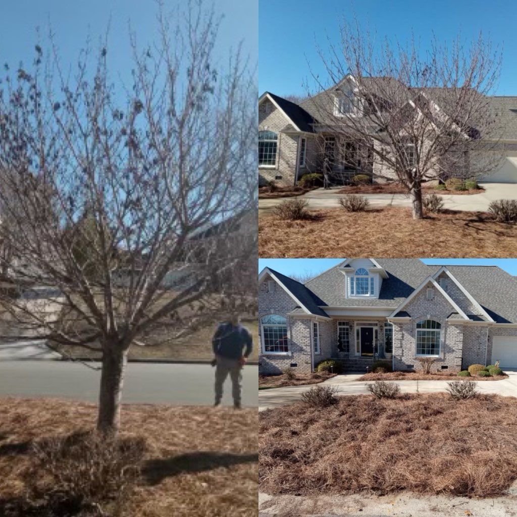 A picture of a house with a tree in front of it