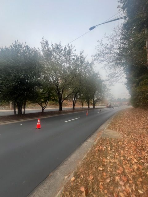 A foggy street with trees on both sides and a red cone on the side of the road.