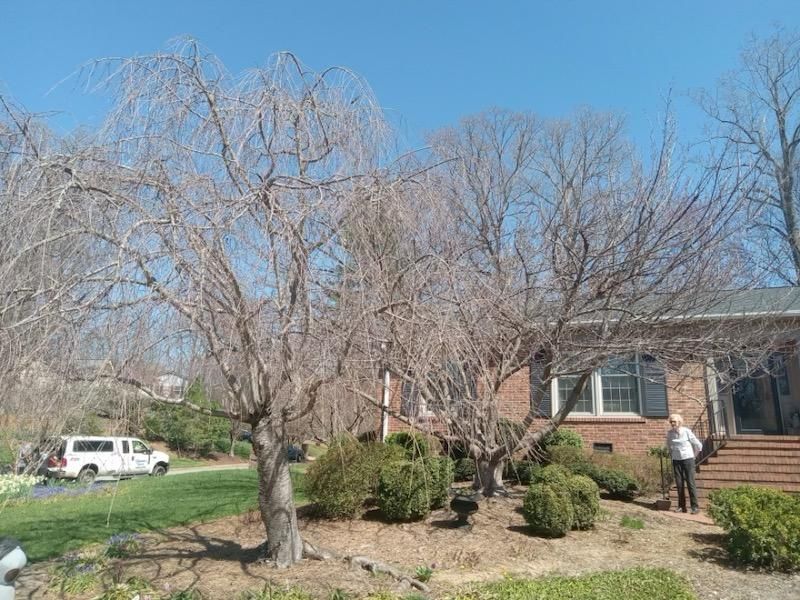 A man is standing in front of a house with trees in front of it.