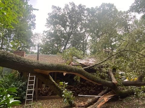 A large tree has fallen on the roof of a house.