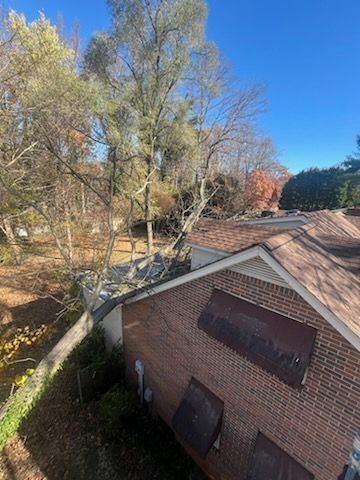 An aerial view of a brick house with a tree on the roof.