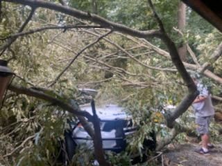 A man is standing next to a car that has been knocked over by a tree.