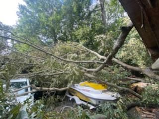 A boat is sitting under a tree that has fallen on it.