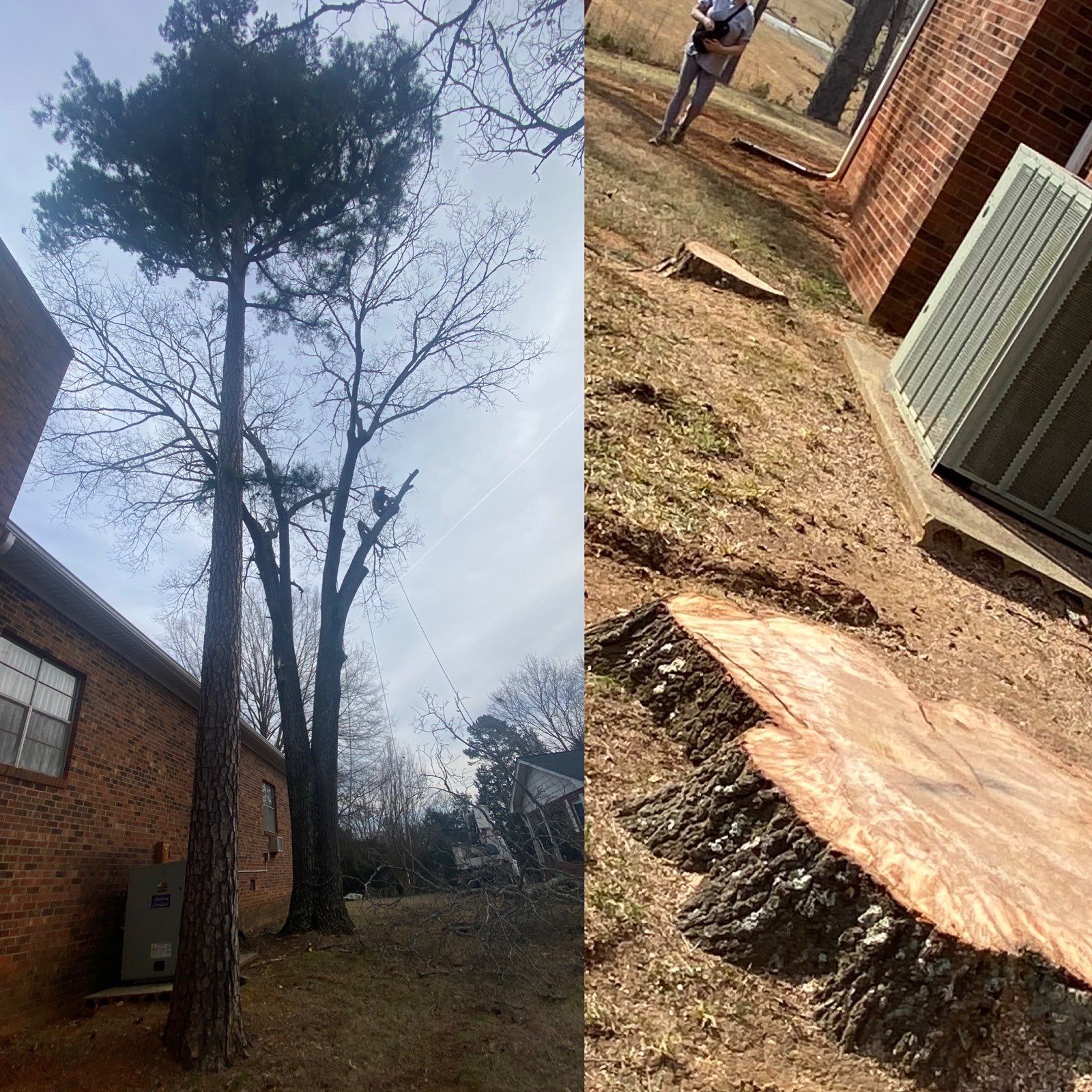 A tree that has been cut down and a tree stump in front of a house.