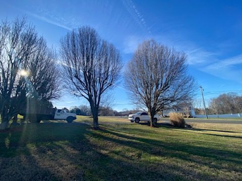 A white truck is parked in a grassy field next to trees.