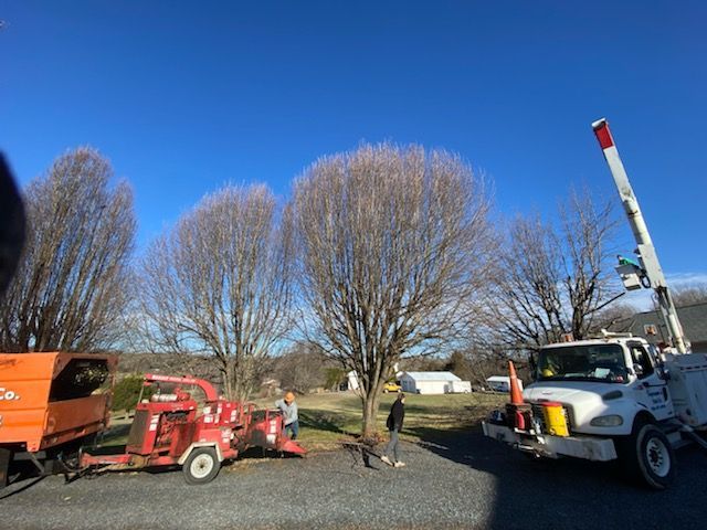 A couple of trucks parked next to each other in a parking lot.