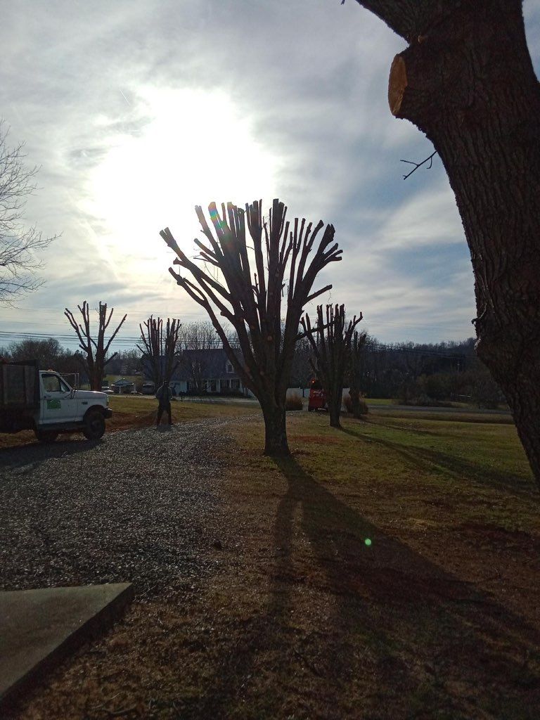 A white truck is parked in a gravel lot next to a tree.
