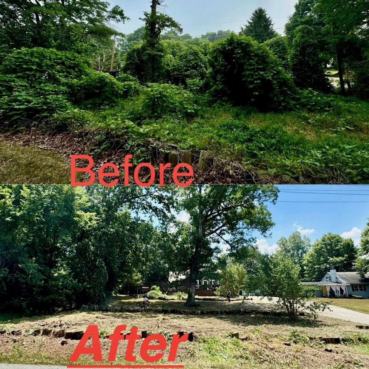 A before and after picture of a lush green field with trees.