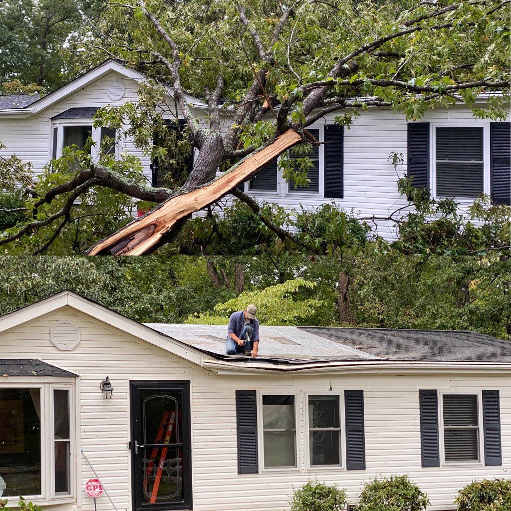 A man is sitting on the roof of a mobile home with a tree fallen on it.