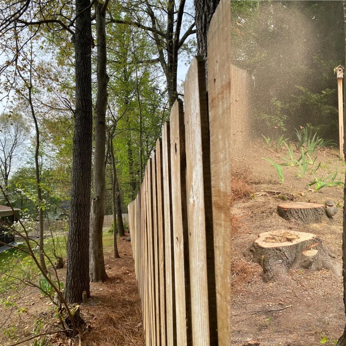 A wooden fence in the middle of a forest