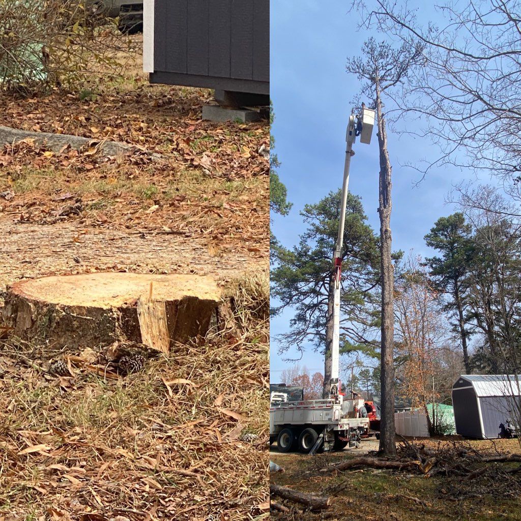A tree stump is being removed by a crane.