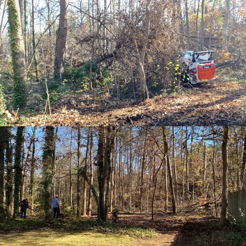 A man is walking through a forest with a bulldozer in the background.