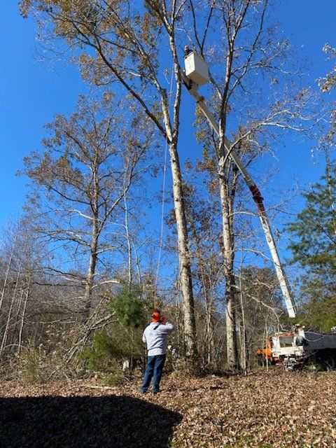 A man is standing next to a tree with a crane in the background.