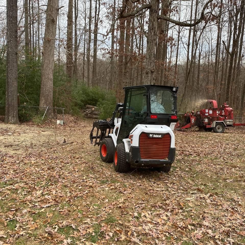 A bobcat is driving through a field of leaves in the woods.