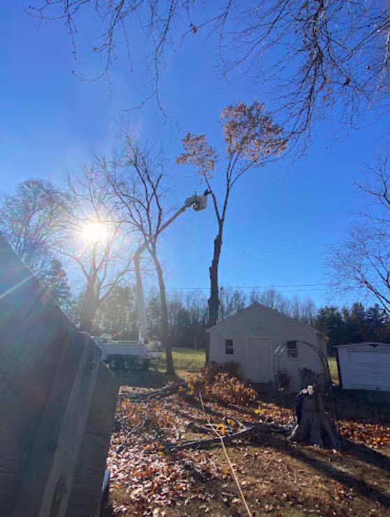 A man is cutting a tree with a crane in front of a house.