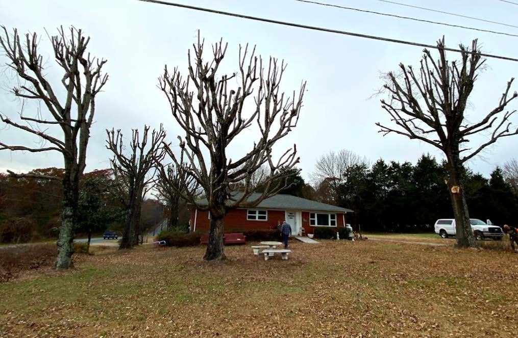 A house with a picnic table and trees in front of it