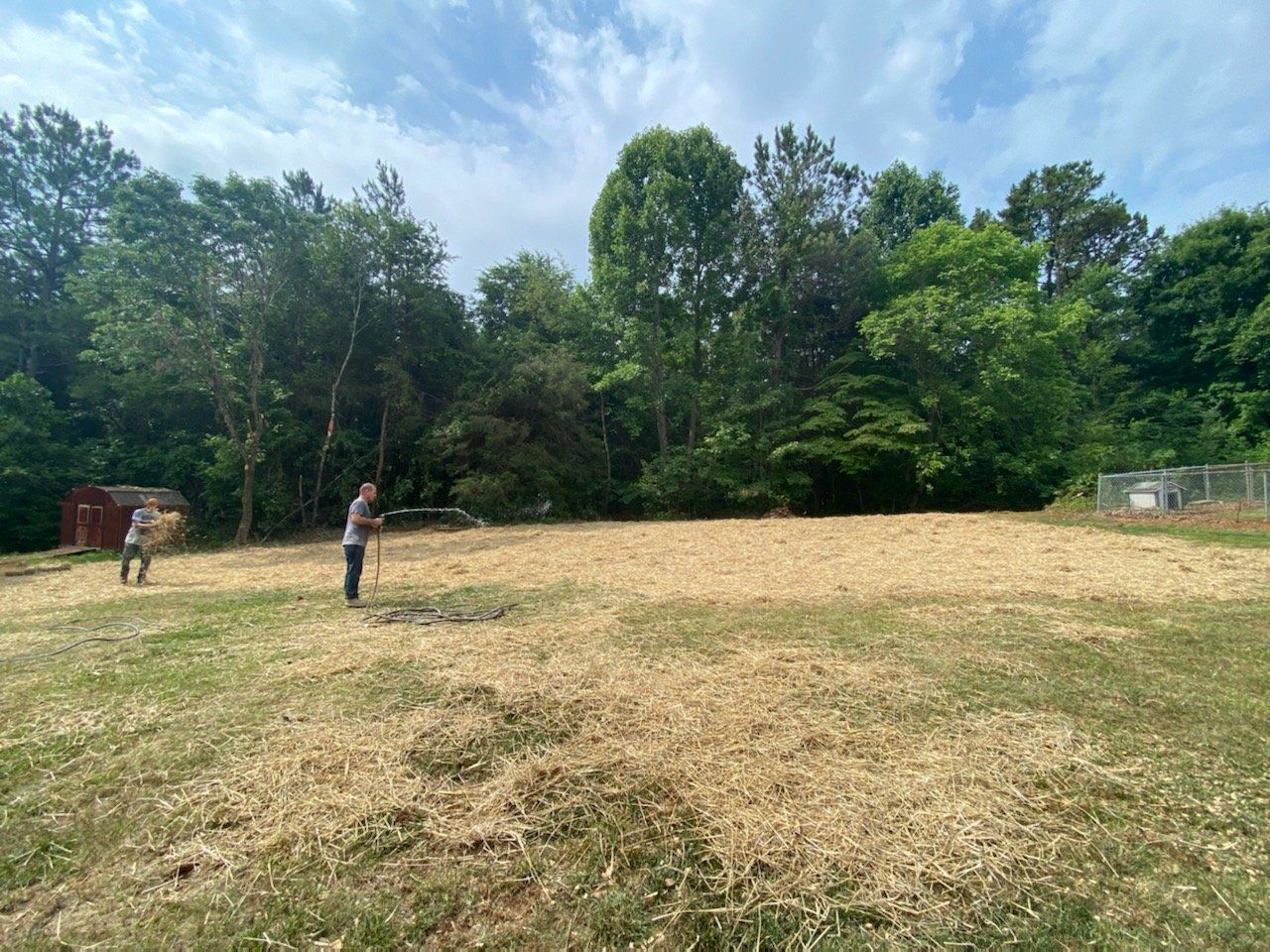 A man is standing in a field with trees in the background.