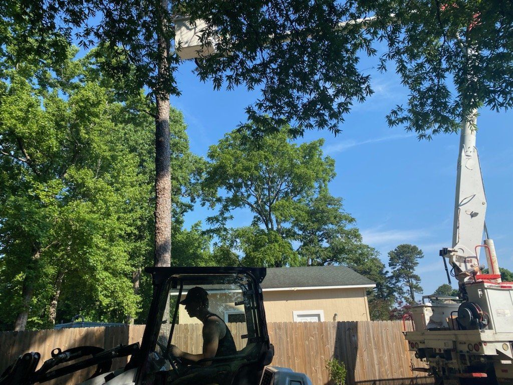 A man is driving a tractor next to a crane cutting a tree.