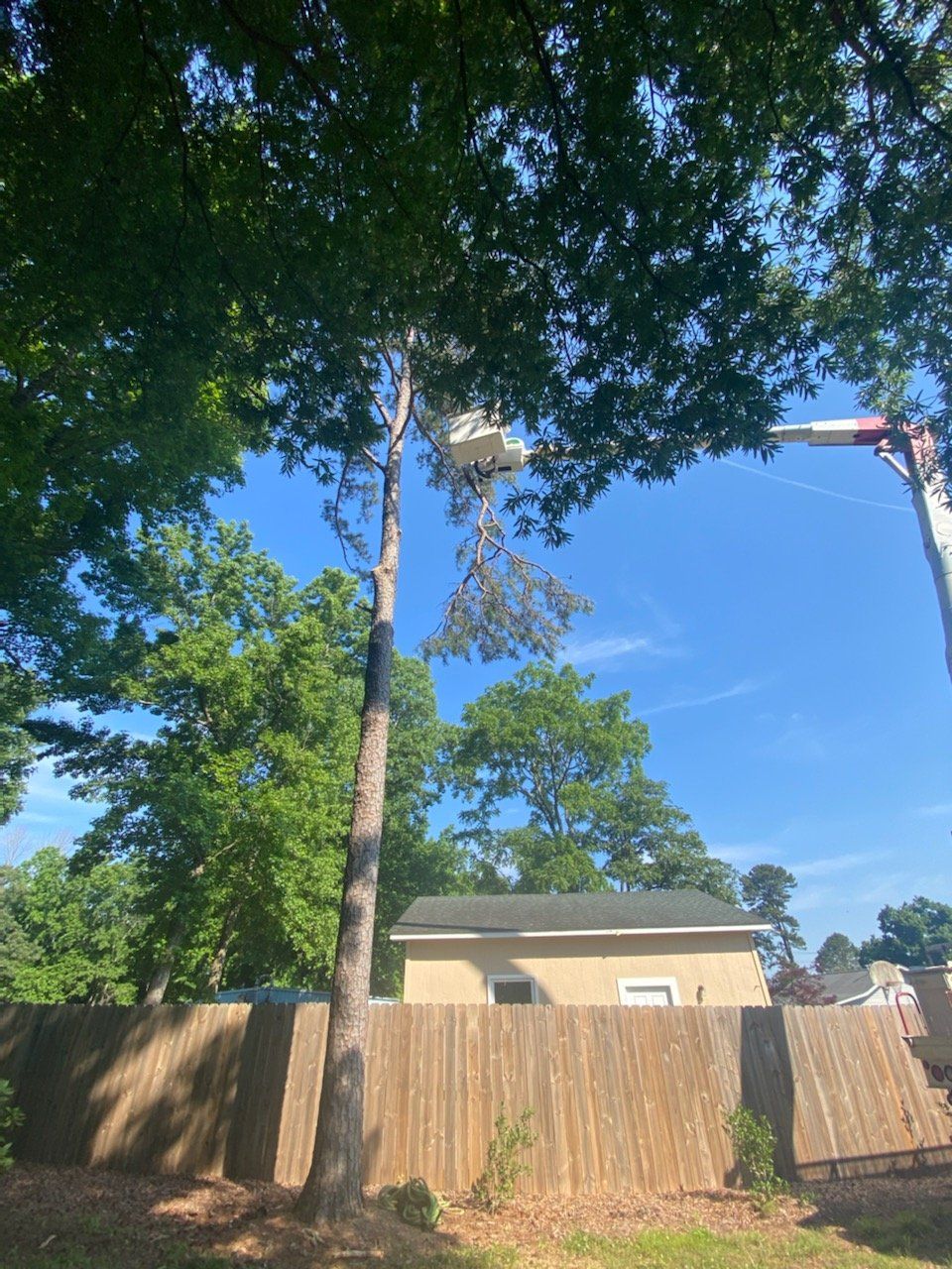 A tree being cut down by a crane in front of a house.