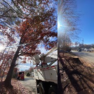 A truck is cutting a tree on the side of the road.