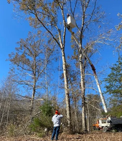 A man is standing next to a tree with a crane in the background.