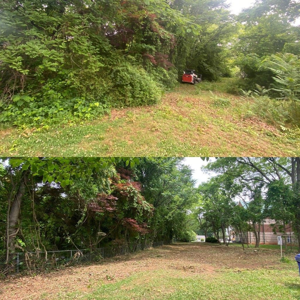 A before and after picture of a lawn mower cutting grass in a yard.