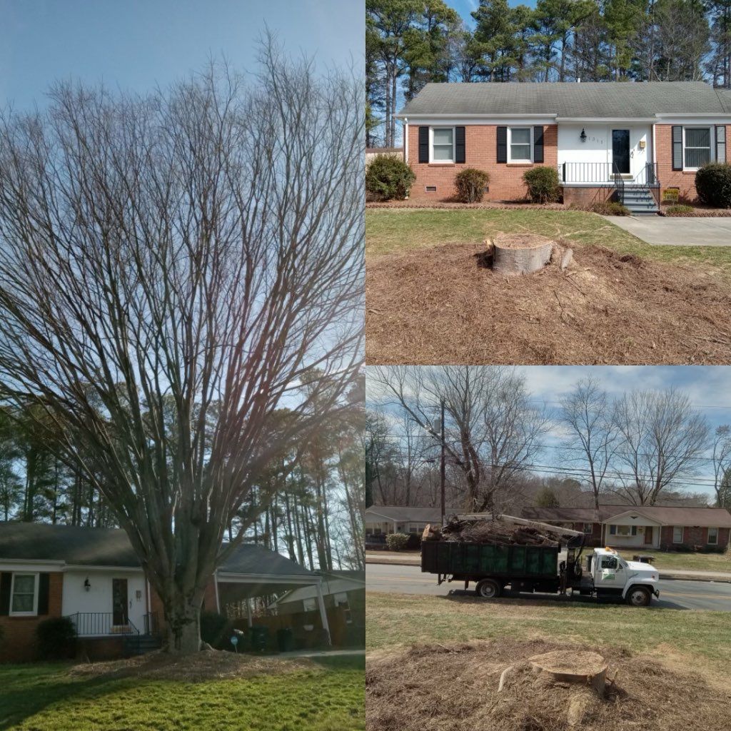 A collage of pictures shows a house a tree and a dump truck
