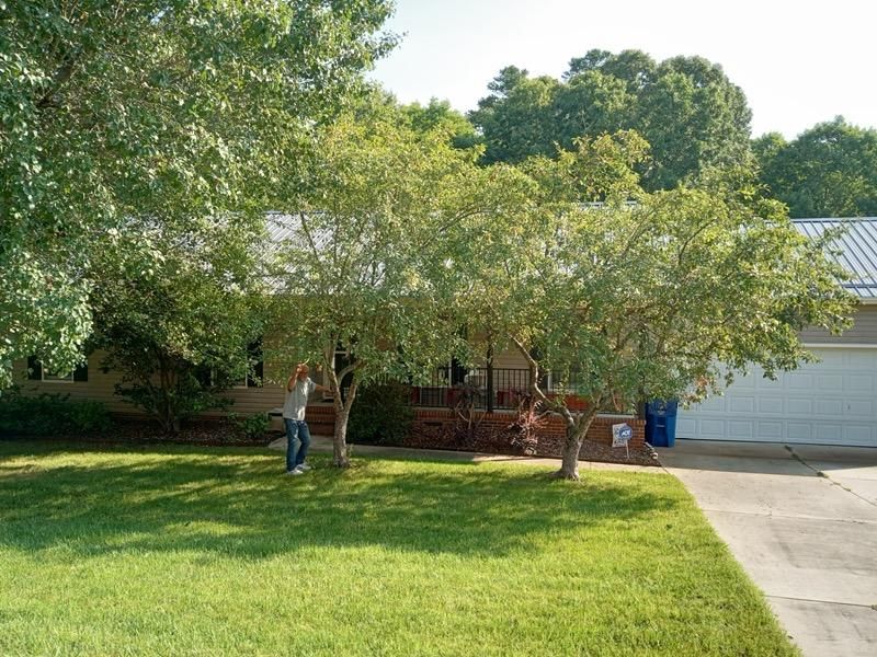 A woman is standing in front of a house with trees in front of it