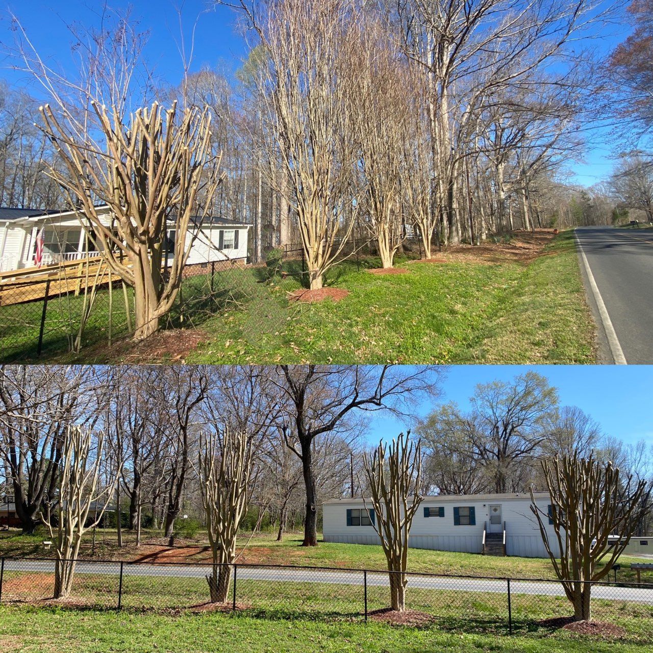 A before and after picture of a house and trees