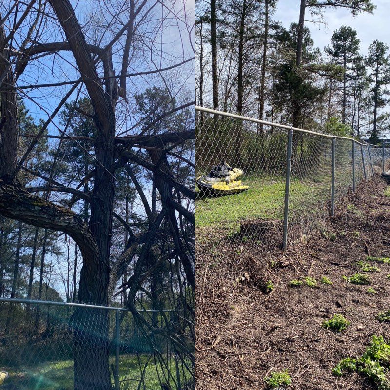 A before and after picture of a chain link fence and a tree.