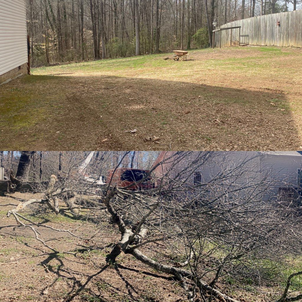 A before and after picture of a backyard with a picnic table in the woods.