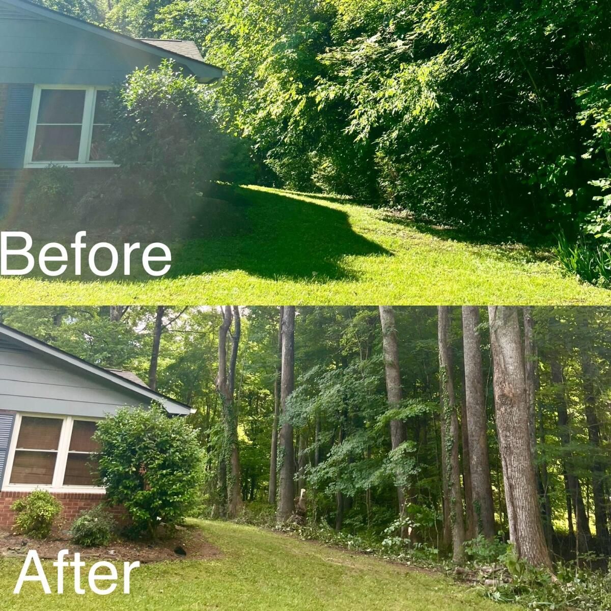 A before and after picture of a house and trees.