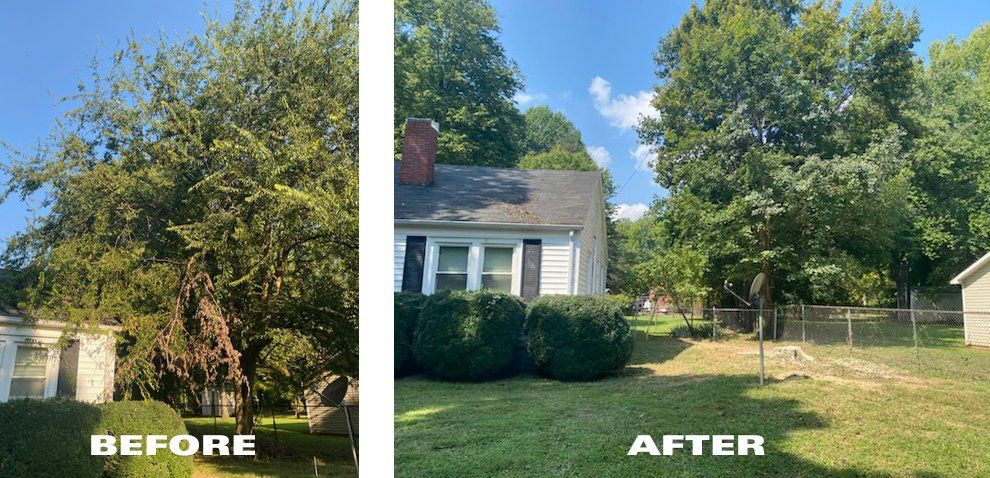 A before and after picture of a house and a tree.