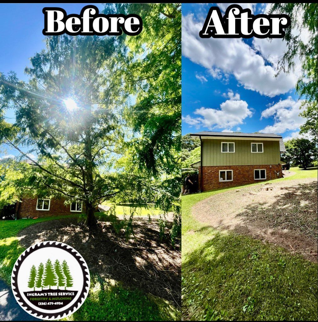 A before and after picture of a house with trees in front of it.