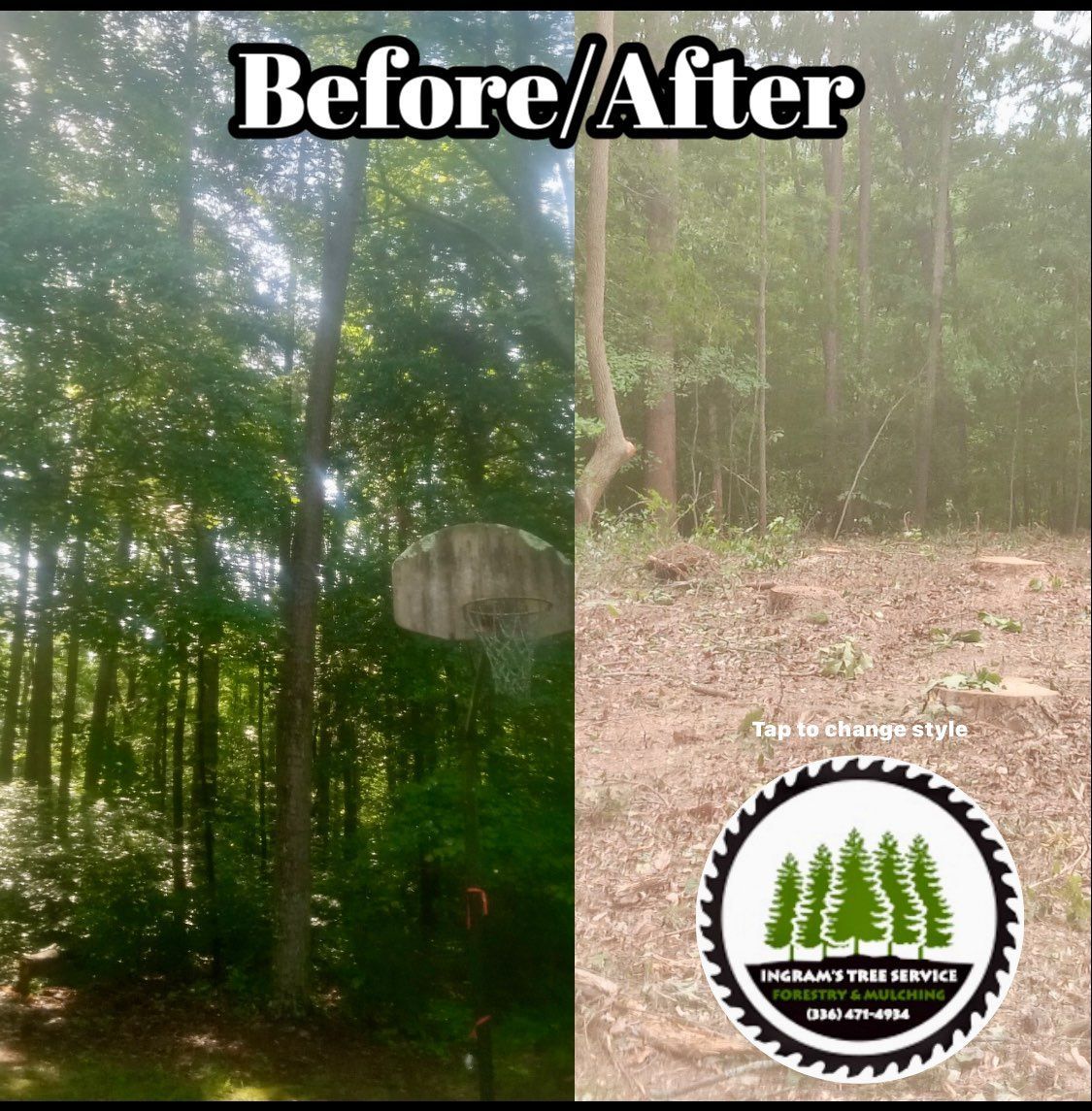 A before and after photo of a tree being cut down