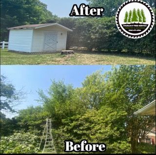 A before and after picture of a shed and trees.