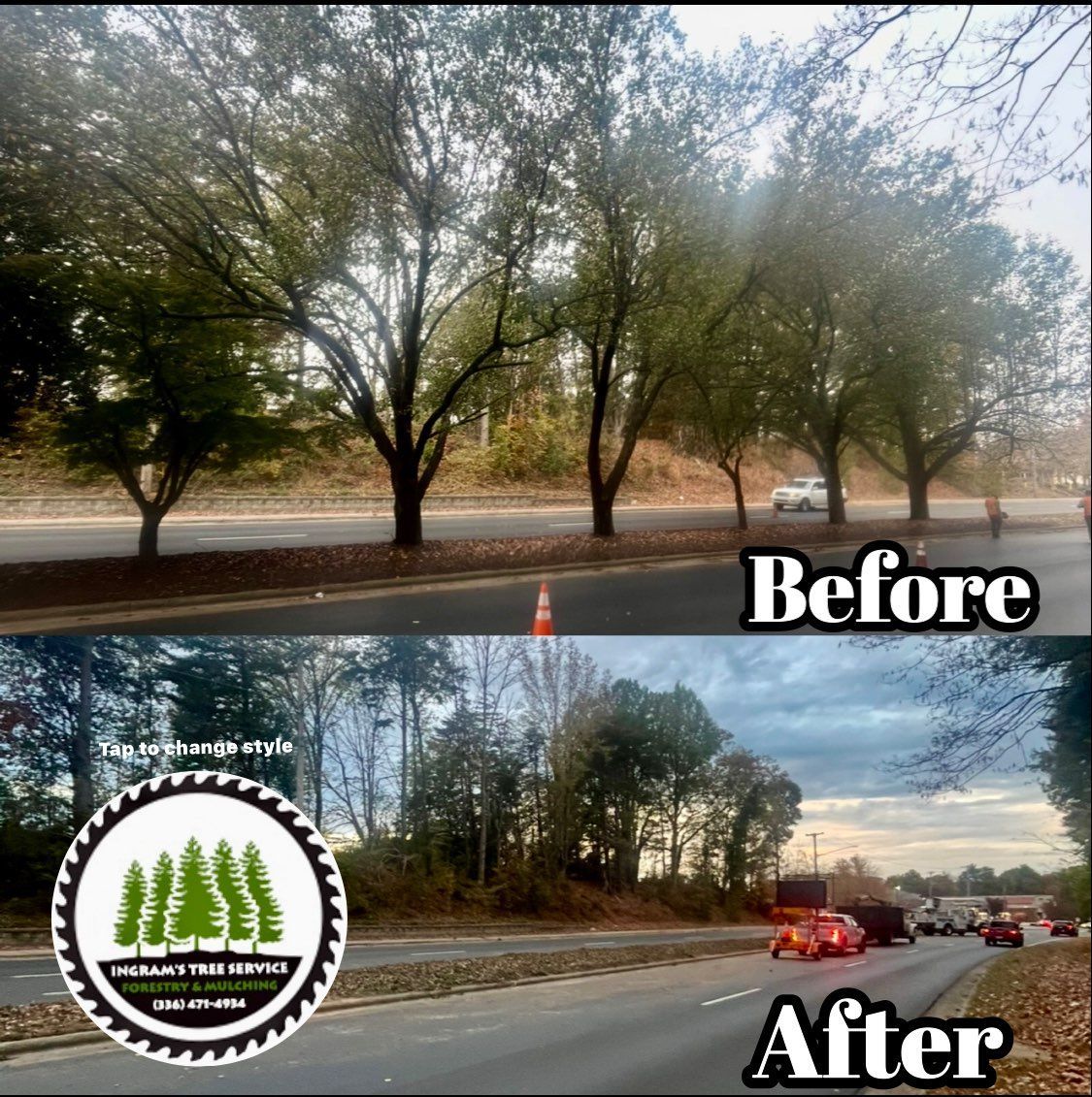A before and after photo of a tree along a road.