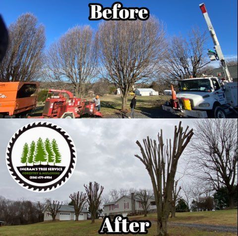 A before and after picture of a tree being cut down