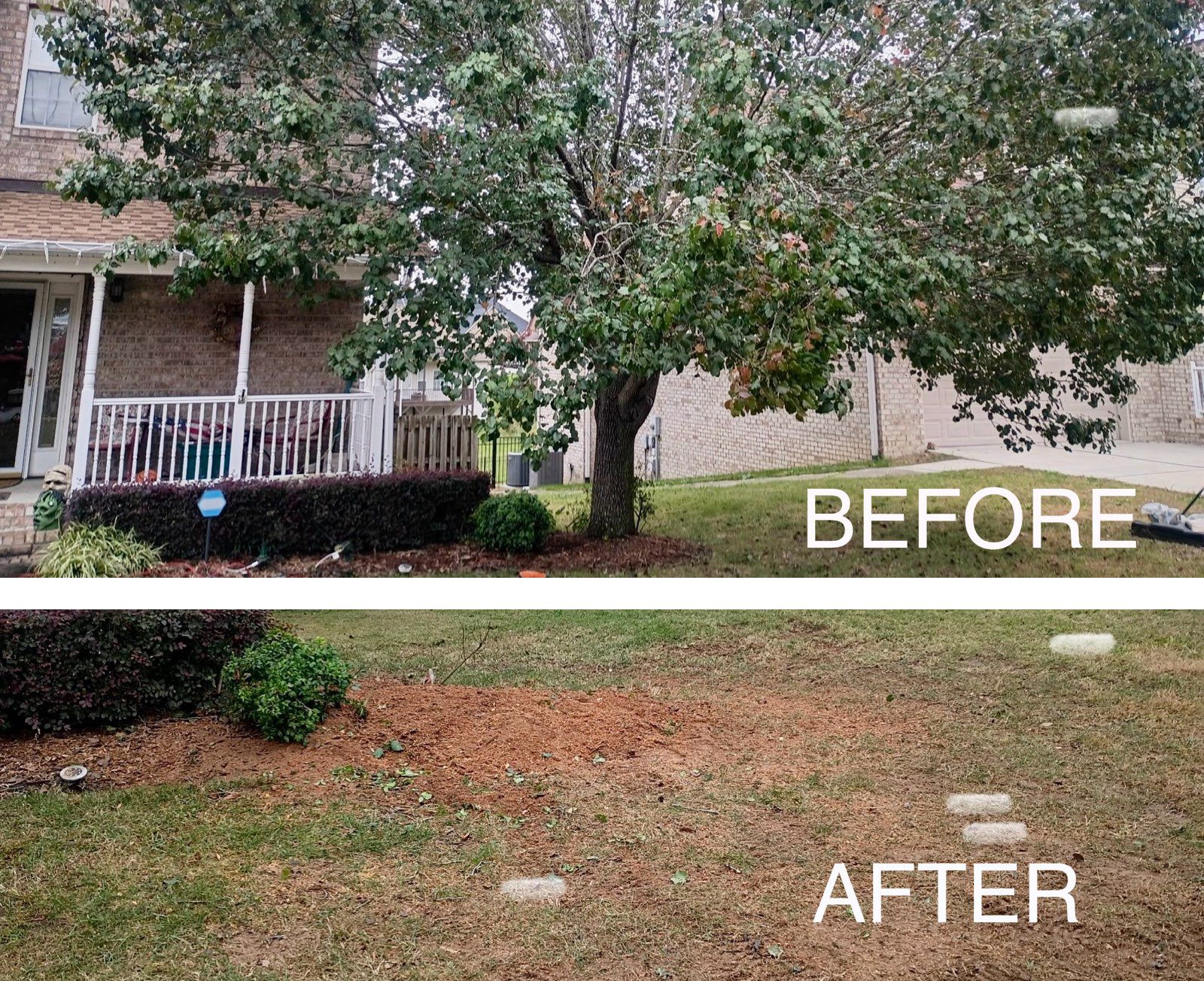 Before and after landscaping of a house exterior; tree, bushes, and lawn.