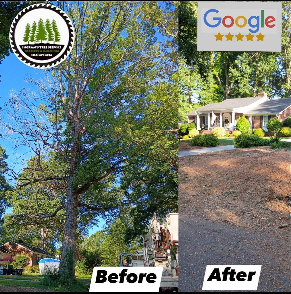 Before/after view of tree removal; tall tree replaced with cleared ground in front of a house.