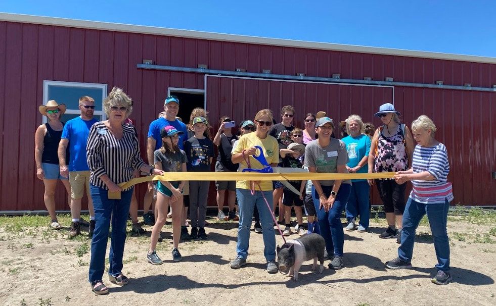 Group cuts ribbon in front of red barn, small pig on leash in foreground.