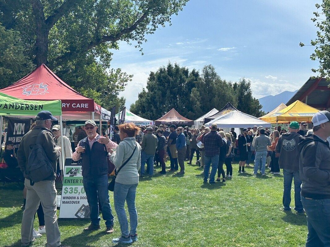 Crowded outdoor market with tents, people, and green grass on a sunny day.