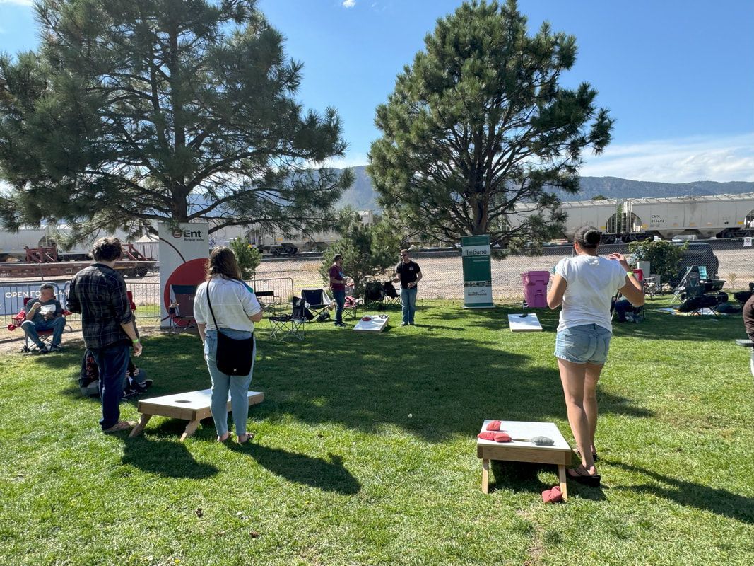 People playing cornhole on a grassy lawn with trees, mountains, and a train in the background on a sunny day.